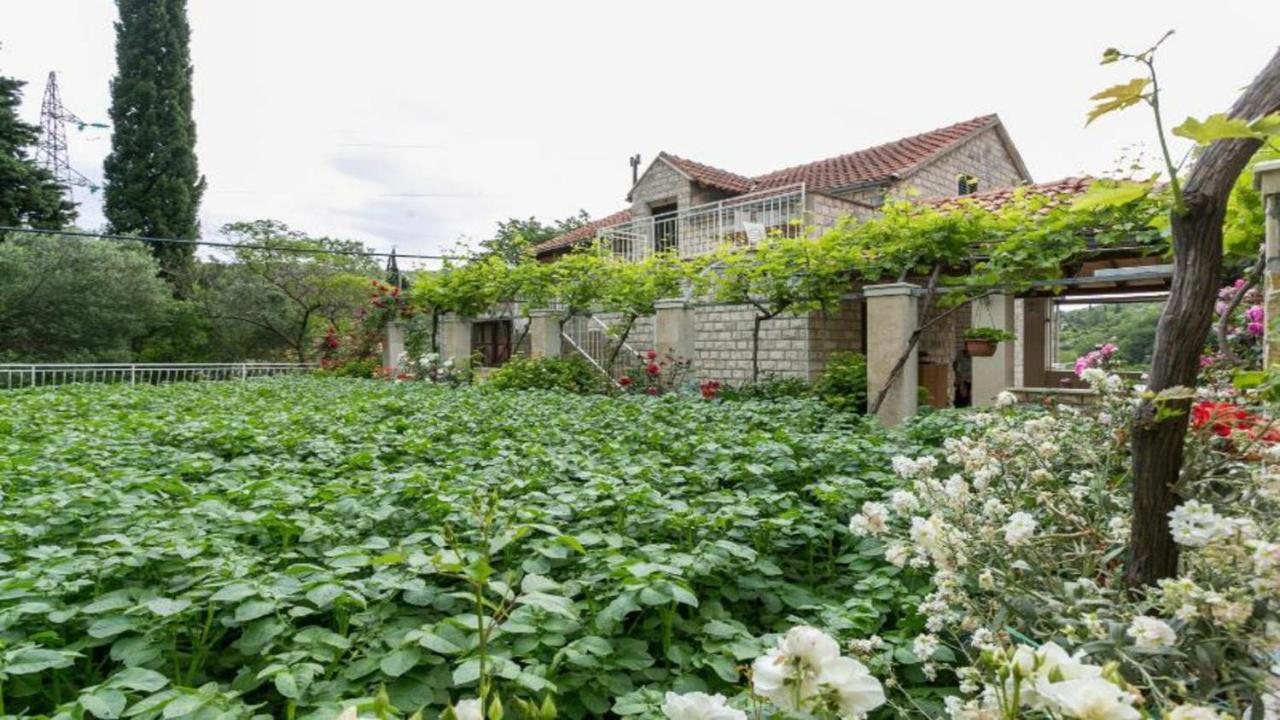 Klepo Apartman